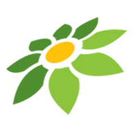 LOGO ML AESTHETIC